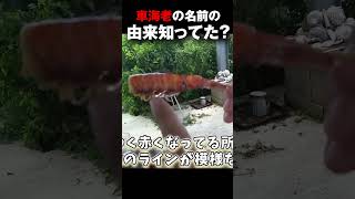 車海老の名前の由来知ってる？