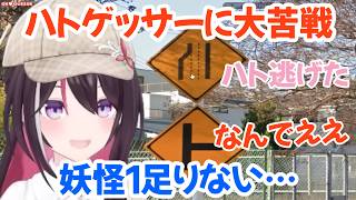 ハトゲッサーで妖怪１たりないを4回出すあずきち【GeoGuessr】