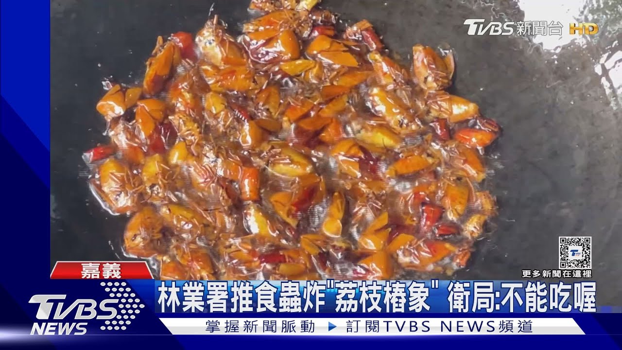 油炸「荔枝樁象」!林業署推食蟲活動 衛生局現場查:未提供食用