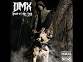 DMX Goodbye