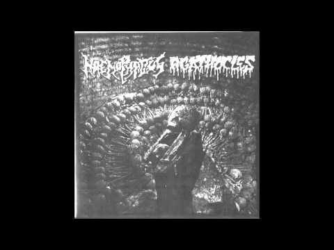 Haemophagus Agathocles Split 7"