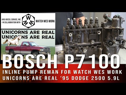 IN UNDER 1 HR! Bosch P7100 Rebuild 4 MINT 5.9L 1995 Dodge Ram x  @WatchWesWork Unicorns are Real!