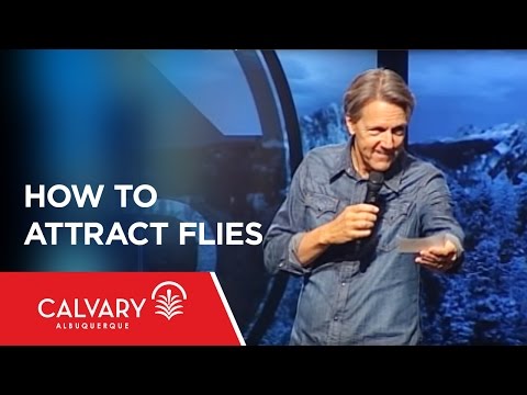 How To Attract Flies - 1 Peter 3:8-12 - Skip Heitzig