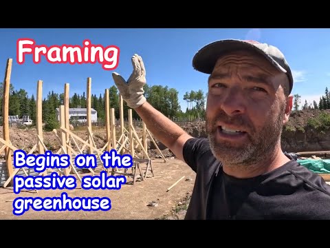 Episode 7: Framing begins on the DIY OFF GRID passive solar greenhouse. Willow keeps escaping!