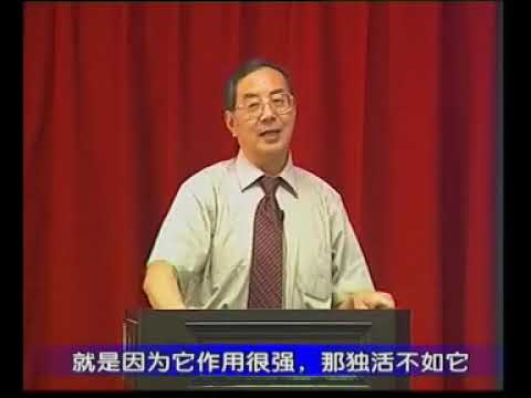 中药学大师张廷模 | 第三十八讲：祛风湿止痛药：独活、威灵仙与川乌的部位用药和安全炮制秘诀|38 中药 #中药学#中医 #中医药 #祛风湿药 #独活 #羌活 #威灵仙 #川乌 #风湿痹证 #安全炮制