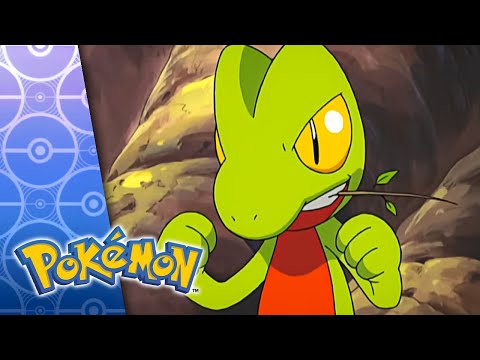 Tree's a Crowd | POKÉMON FULL EPISODE 7 | Season 6