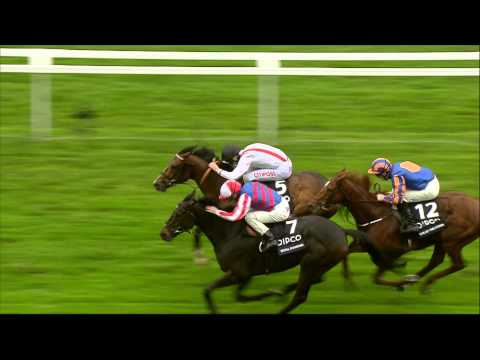 2014 Qipco Champions Day - Racing UK