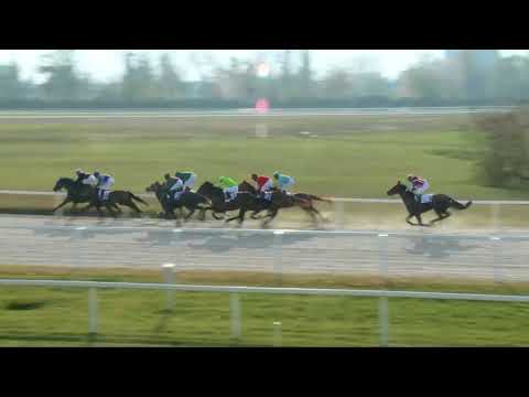 2017.11.05. 6. futam - NOVEMBERI DÍJ (IV.kat.) (szintetikus pálya)