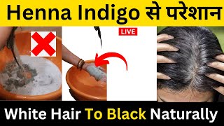 No PPD No Ammonia Natural Hair Color Review  Indig