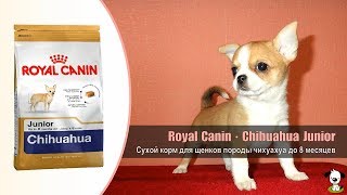 Royal Canin Puppy Chihuahua 1,5 кг (2438015) - відео 1