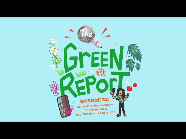 The Green Report: Celine Murillo advocates for native trees, one TikTok at a time