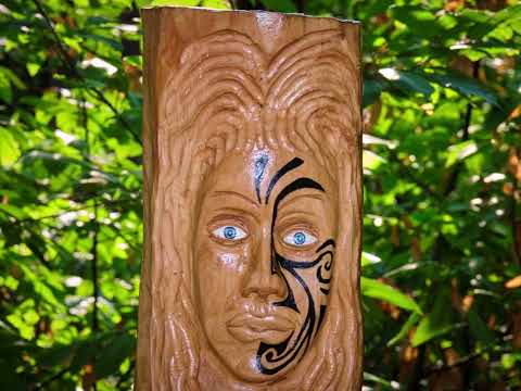 Sentiero magia del bosco nella pineta di Tradate (VA)