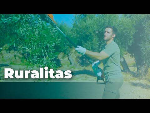 Fotograma del vídeo: Oro Líquido Centenario