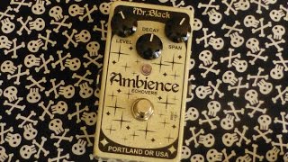 Video thumbnail for Mr Black Pedals Ambience Echoverb by thegearshark