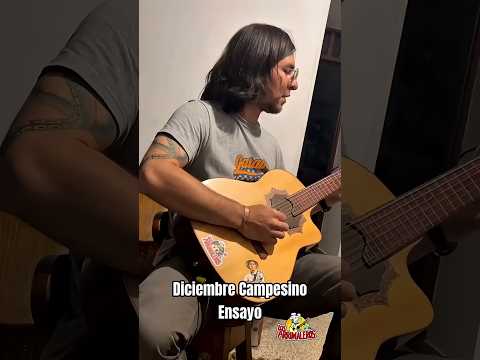 Diciembre Campesino - Octavio Mesa