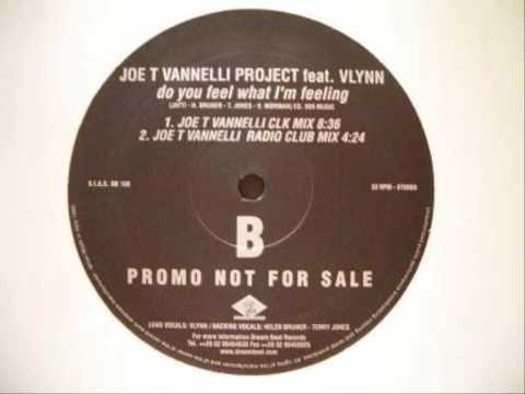 Joe T Vannelli Project ft.Vlynn - Do you feel what I'm feeling