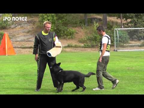 FCI NM IPO Svenn Christer Hauge Iphon av Oddvarg - C