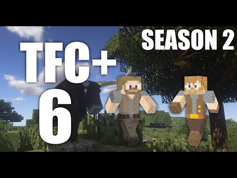 TerraFirmaCraft+ Season 2 Episode 6