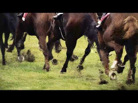 Dostihy Pardubice – živé vysílání