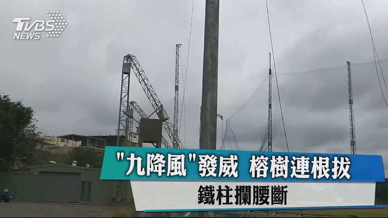「九降風」發威　榕樹連根拔、鐵柱攔腰斷