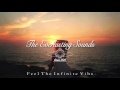 De Hofnar X Goodluck - Back In The Day (Radio ...