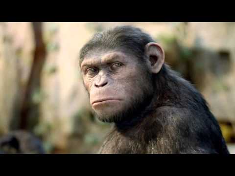 Trollpasta - Cowiek Maupa [Lektor PL]