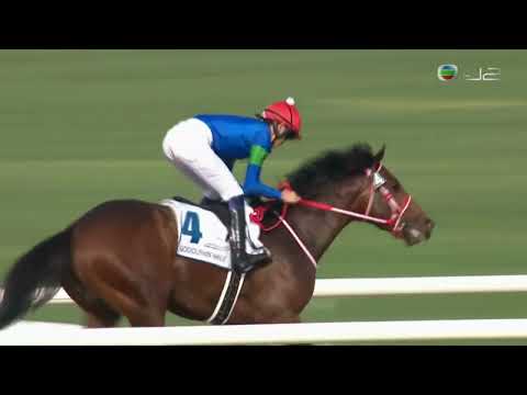 2022 Godolphin Mile G2 - Bathrat Leon (猛獅闊步) - R.Sakai (愈放愈順爆出61倍大冷)