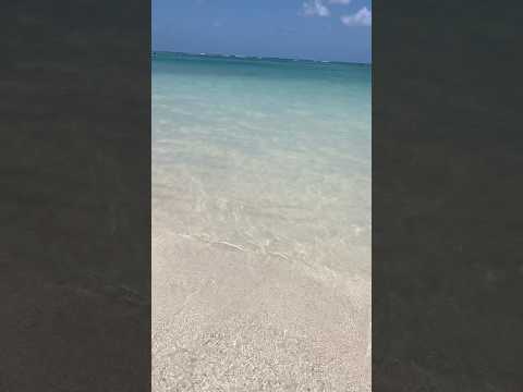 Praia de Campas - Tamandaré - PE