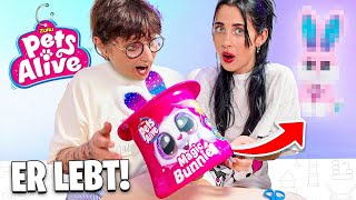 MAGIC BUNNIES von Pest Alive – Magie oder doch nur Show?