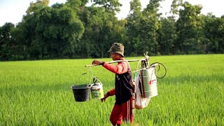 Download lagu Alunan Merdu Taluan Tarling Klasik Dermayon mp3