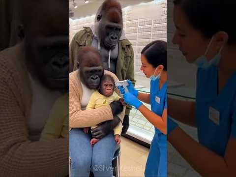 😆😂 Ear Piercing #shorts #funny #funnyvideo #viral #shortvideo #shortsvideo #animals