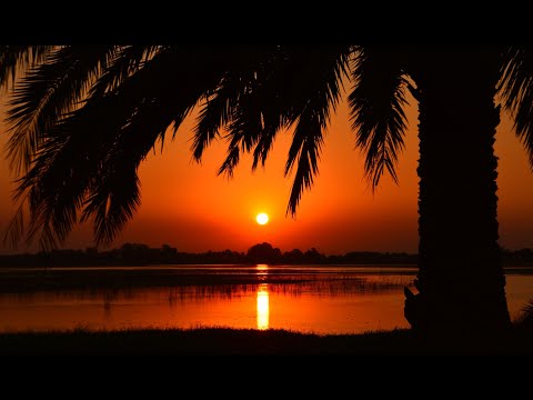 DJ Rimiks - Best of Soulful House 2020 (#5)