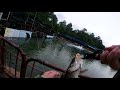 Auntie Pond Fishing