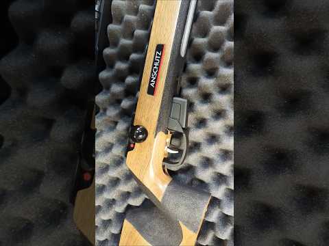 ANSCHUTZ 1710 RWS R50 AMMO TEST