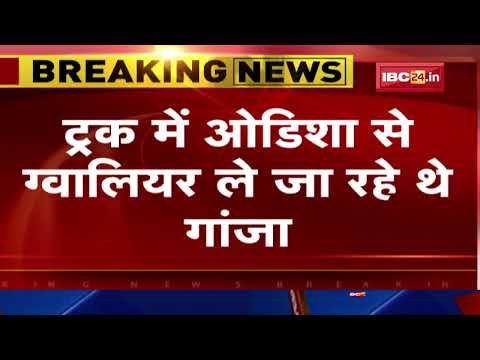 Ganja Smuggling: 3 smugglers arrested for transporting ganja worth Rs 23 lakh from Odisha to Gwal...