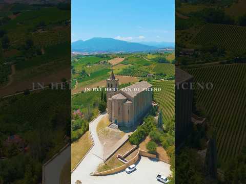 Video Hotel Ambassador