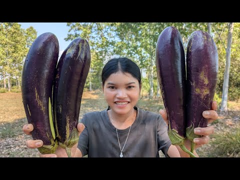 Eggplant with Soy Sauce Side Dish | Easy & Delicious Eggplant Recipe