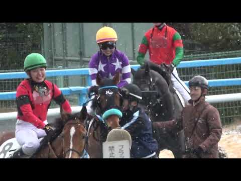 【柳田悠岐】河原田菜々が馬主でのJRA初勝利をプレゼント‼ 現地映像 ゴッドヴァレー