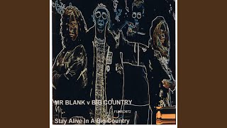 Stay Alive in a Big Country (Radio Edit)
