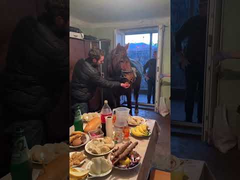 Как член семьи! 🐎 Like a family member! #грузия #грузины