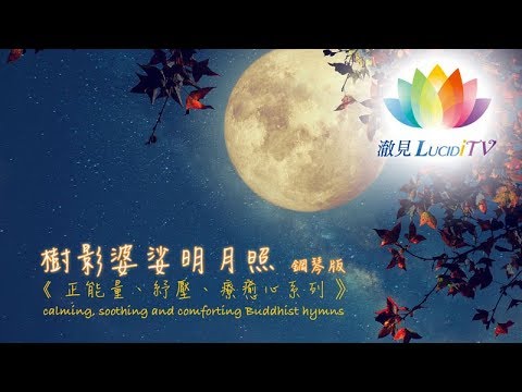 婆娑樹