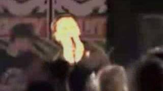 Huntingtons - Sheena Is A Punk Rocker