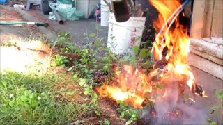 Propane torch to destroy weeds naturally - and burn my neighbors shed