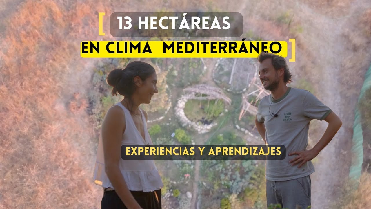 Agroforestería Sintrópica 👩‍🌾 [ Técnicas y Aprendizajes ]