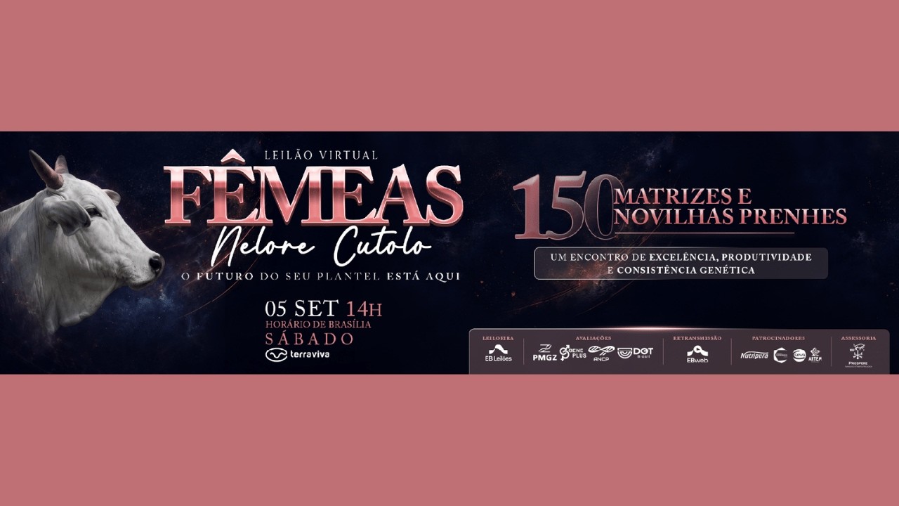 LEILÃO VIRTUAL FÊMEAS NELORE CUTOLO | 05/09/2026 – 14H