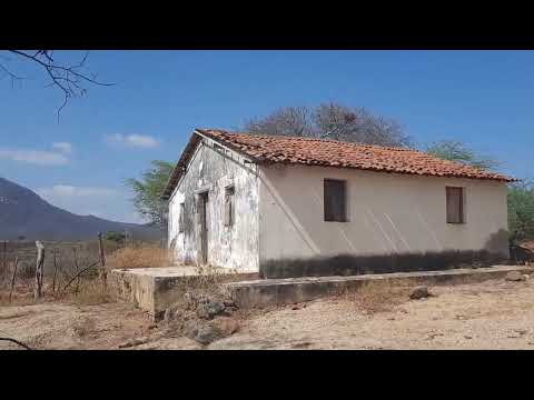 🌵 O SILÊNCIO DA QUIXABA ABANDONADA 