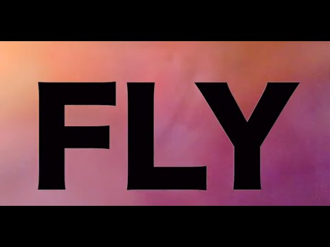 Fly - FT. RAM & MAYU WAKISAKA / TT&NAVE ( lyric video) #NNN_RECORDS