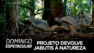 Miniatura do vídeo