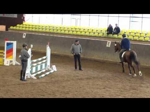 Caipirinha by Cash and Carry-Lord Z, *2013, 50TT Marbach