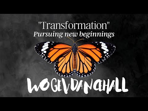 FLXN DANSSCHOOL EINDHOVEN EINDSHOW 2023 | TRANSFORMATION | WO GEV DANCEHALL